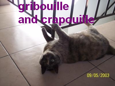 GRIBOULLE